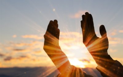 How Many Times….??