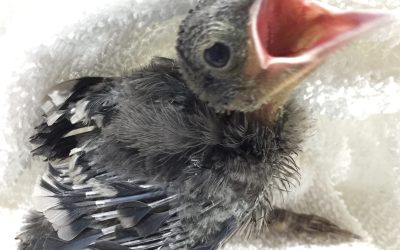 Is It Okay To Be Weak and Needy?