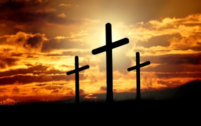 Where Are My Sins?